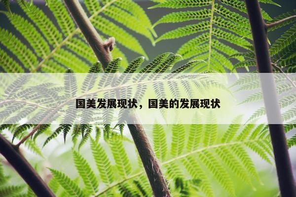 国美发展现状，国美的发展现状