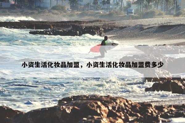 小资生活化妆品加盟，小资生活化妆品加盟费多少