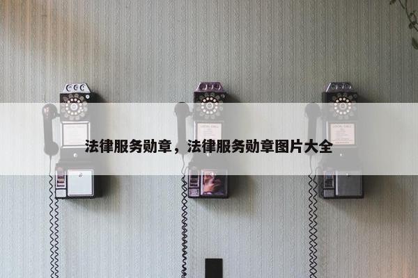 法律服务勋章，法律服务勋章图片大全