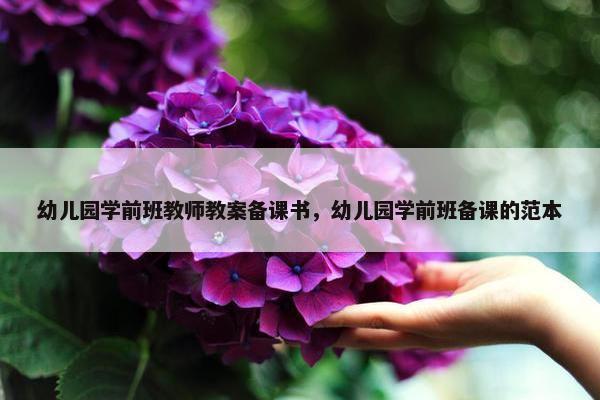 幼儿园学前班教师教案备课书,幼儿园学前班备课的范本 幼儿园学前班教师教案备课书,幼儿园学前班备课的范本