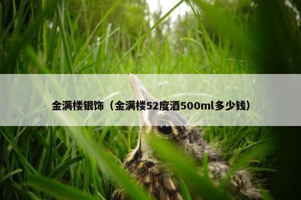 金满楼银饰（金满楼52度酒500ml多少钱）