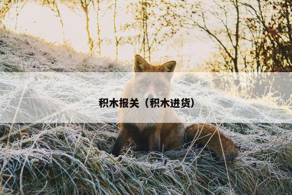 积木报关（积木进货）