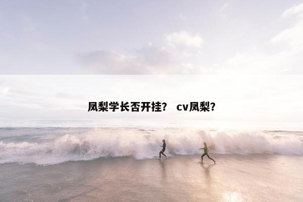 凤梨学长否开挂？ cv凤梨？