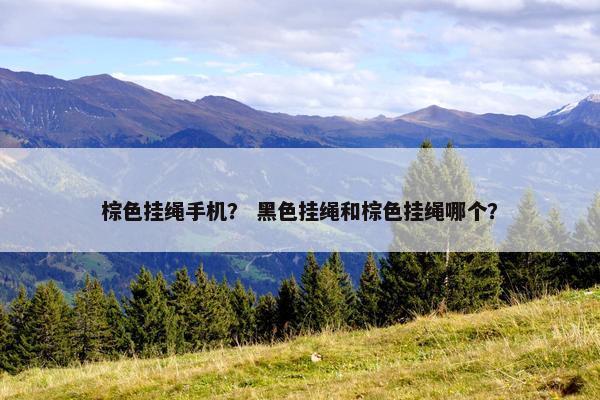 棕色挂绳手机? 黑色挂绳和棕色挂绳哪个? 棕色挂绳手机? 黑色挂绳和棕色挂绳哪个?