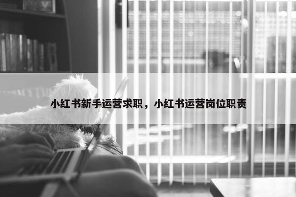 小红书新手运营求职，小红书运营岗位职责