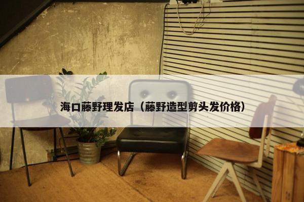 海口藤野理发店（藤野造型剪头发价格）