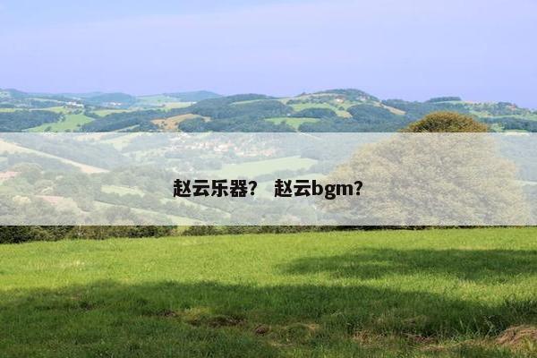 赵云乐器？ 赵云bgm？