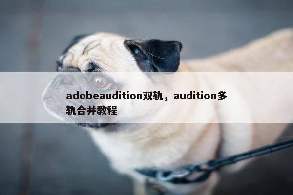 adobeaudition双轨，audition多轨合并教程