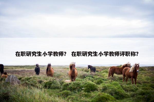 在职研究生小学教师? 在职研究生小学教师评职称? 在职研究生小学教师? 在职研究生小学教师评职称?