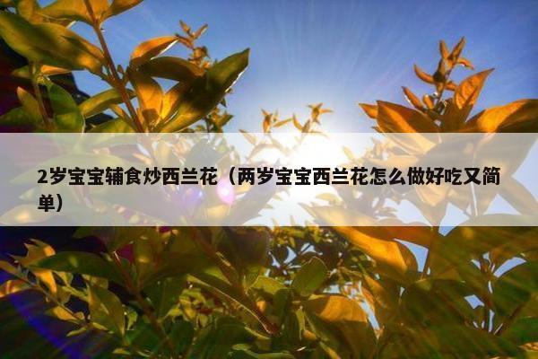 2岁宝宝辅食炒西兰花（两岁宝宝西兰花怎么做好吃又简单）