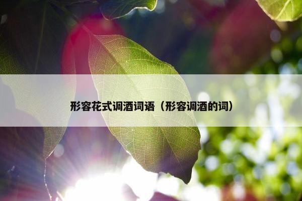 形容花式调酒词语（形容调酒的词）
