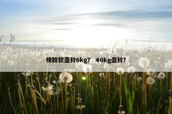 橡胶软壶铃6kg？ 40kg壶铃？