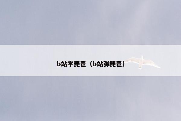 b站学琵琶（b站弹琵琶）