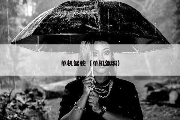 单机驾驶（单机驾照）