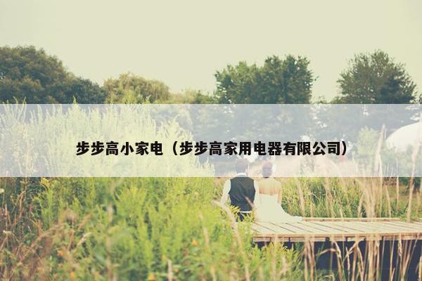 步步高小家电（步步高家用电器有限公司）