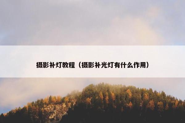 摄影补灯教程（摄影补光灯有什么作用）