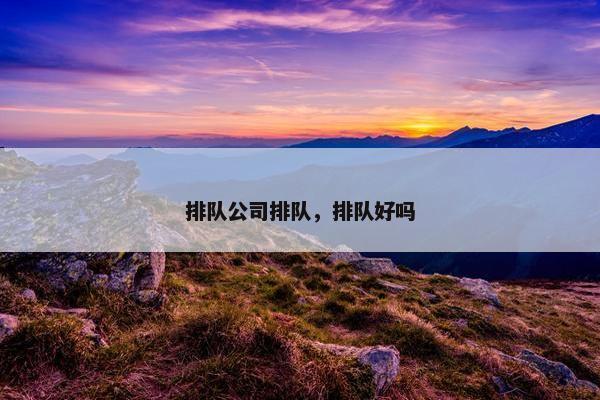 排队公司排队，排队好吗