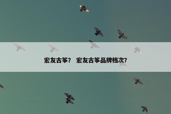 宏友古筝? 宏友古筝品牌档次? 宏友古筝? 宏友古筝品牌档次?