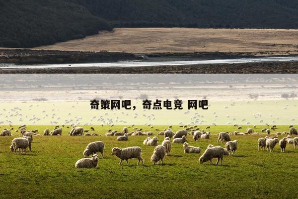 奇策网吧，奇点电竞 网吧