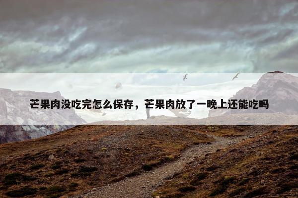 芒果肉没吃完怎么保存，芒果肉放了一晚上还能吃吗