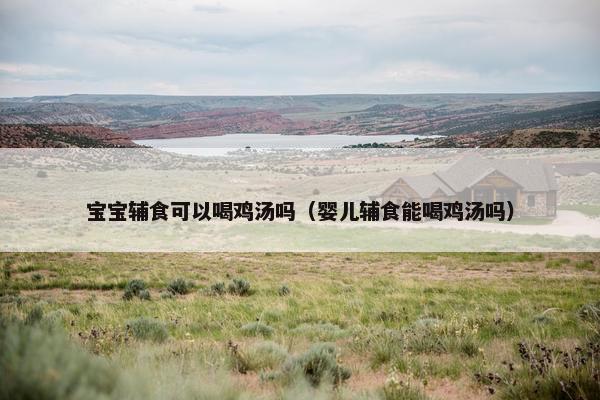 宝宝辅食可以喝鸡汤吗（婴儿辅食能喝鸡汤吗）