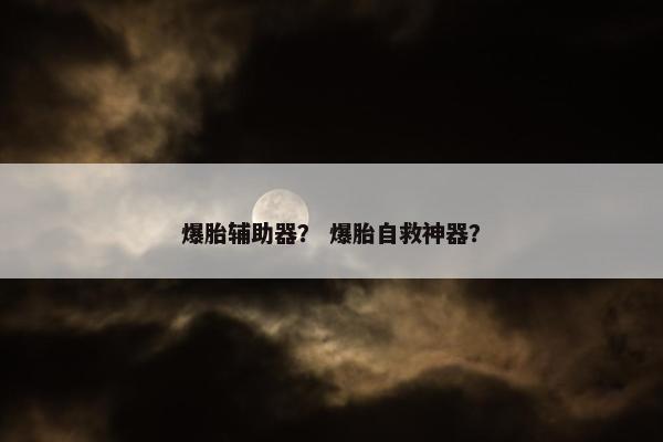 爆胎辅助器？ 爆胎自救神器？