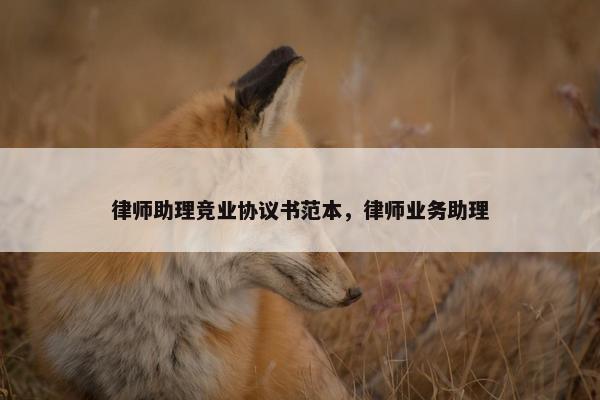 律师助理竞业协议书范本，律师业务助理