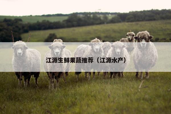 江源生鲜果蔬推荐（江源水产）