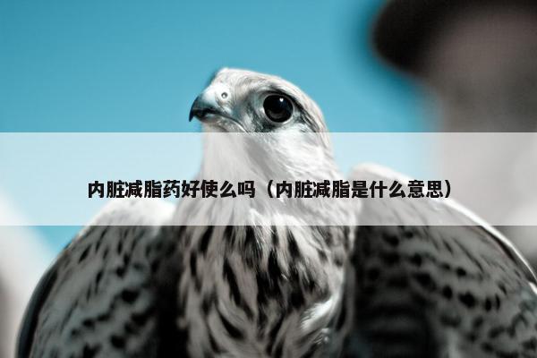 内脏减脂药好使么吗（内脏减脂是什么意思）