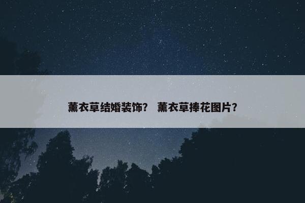 薰衣草结婚装饰？ 薰衣草捧花图片？