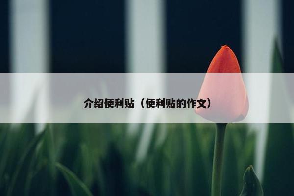 介绍便利贴（便利贴的作文）
