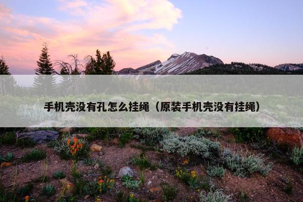 手机壳没有孔怎么挂绳(原装手机壳没有挂绳) 手机壳没有孔怎么挂绳(原装手机壳没有挂绳)