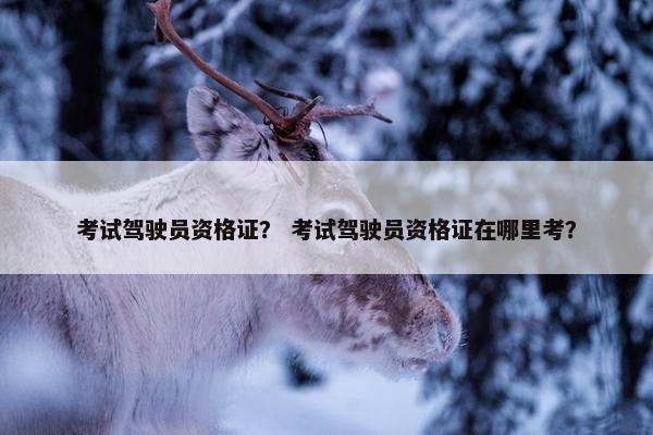 考试驾驶员资格证? 考试驾驶员资格证在哪里考? 考试驾驶员资格证? 考试驾驶员资格证在哪里考?