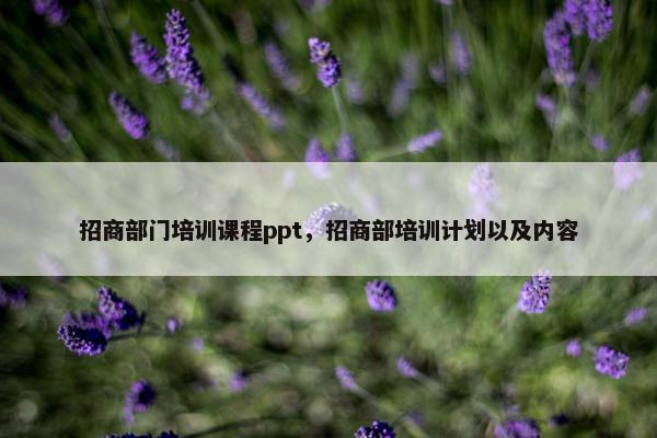 招商部门培训课程ppt,招商部培训计划以及内容 招商部门培训课程ppt,招商部培训计划以及内容