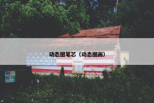 动态图笔芯（动态图画）