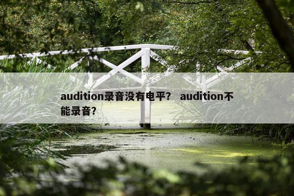 audition录音没有电平？ audition不能录音？
