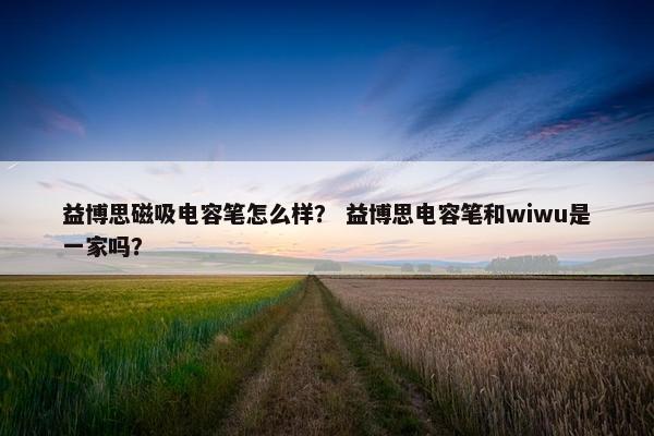 益博思磁吸电容笔怎么样？ 益博思电容笔和wiwu是一家吗？