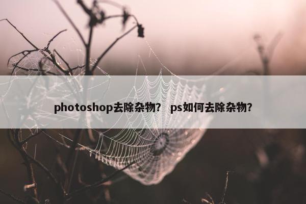 photoshop去除杂物? ps如何去除杂物? photoshop去除杂物? ps如何去除杂物?