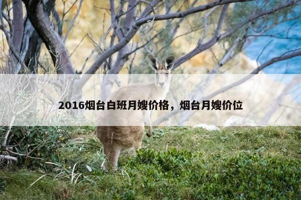 2016烟台白班月嫂价格,烟台月嫂价位 2016烟台白班月嫂价格,烟台月嫂价位