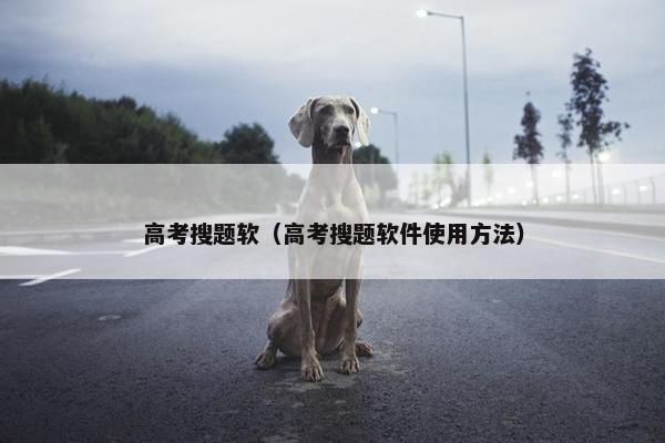 高考搜题软(高考搜题软件使用方法) 高考搜题软(高考搜题软件使用方法)
