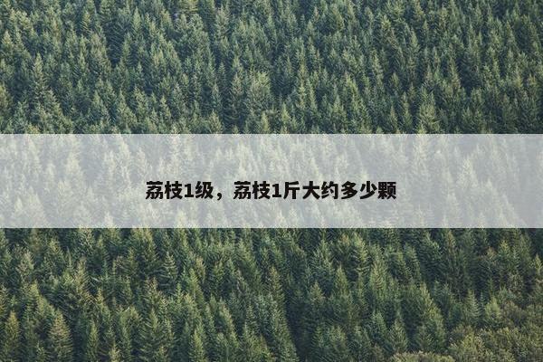 荔枝1级，荔枝1斤大约多少颗