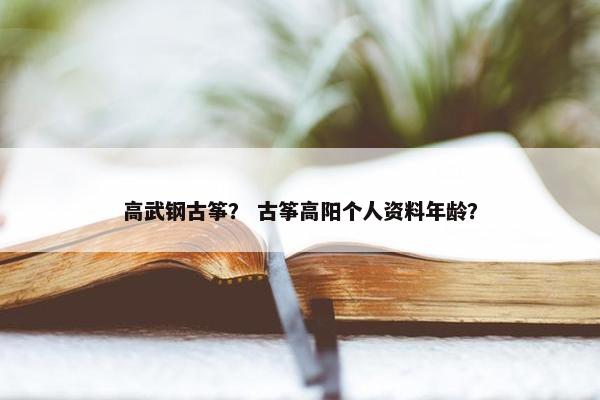 高武钢古筝？ 古筝高阳个人资料年龄？