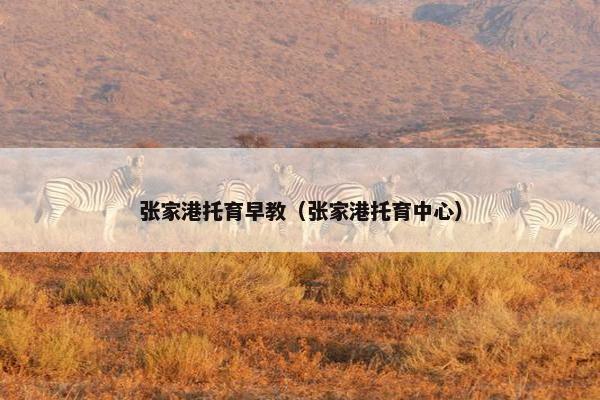 张家港托育早教（张家港托育中心）