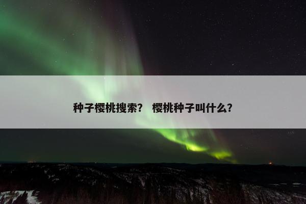 种子樱桃搜索？ 樱桃种子叫什么？