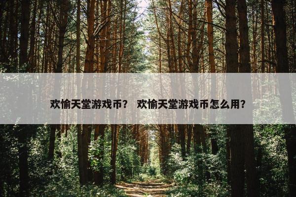 欢愉天堂游戏币？ 欢愉天堂游戏币怎么用？