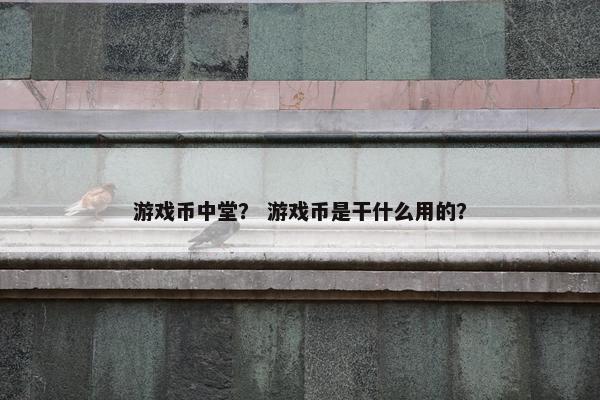 游戏币中堂？ 游戏币是干什么用的？
