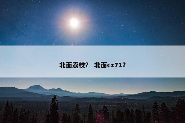 北面荔枝? 北面cz71? 北面荔枝? 北面cz71?