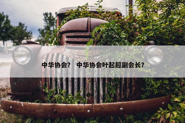 中华协会？ 中华协会叶起超副会长？