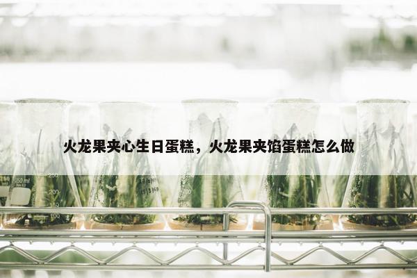 火龙果夹心生日蛋糕,火龙果夹馅蛋糕怎么做 火龙果夹心生日蛋糕,火龙果夹馅蛋糕怎么做