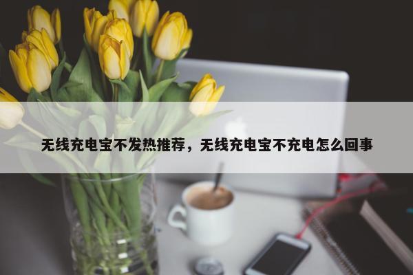 无线充电宝不发热推荐，无线充电宝不充电怎么回事
